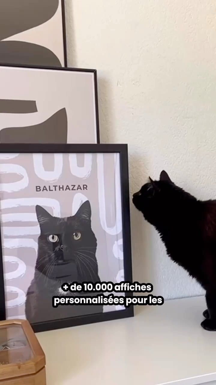 Post 8 by Klem Klem 🐾 on Instagram (video)