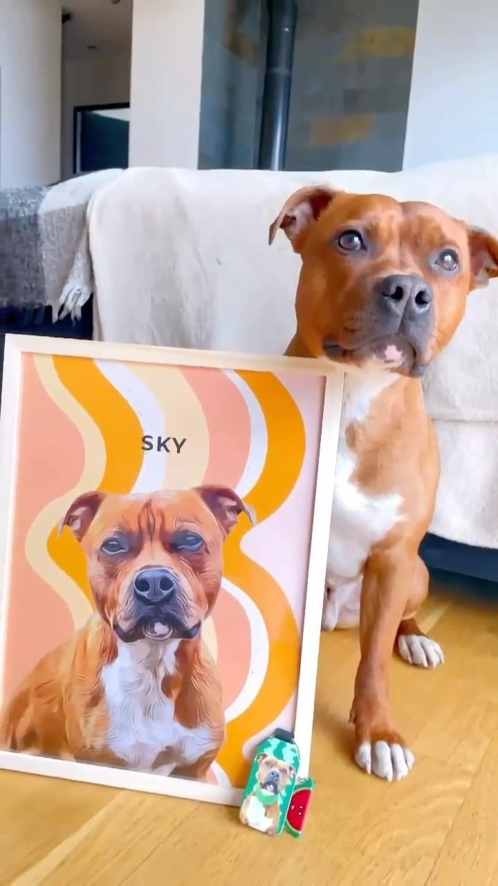 Post 4 by Klem Klem 🐾 on Instagram (video)