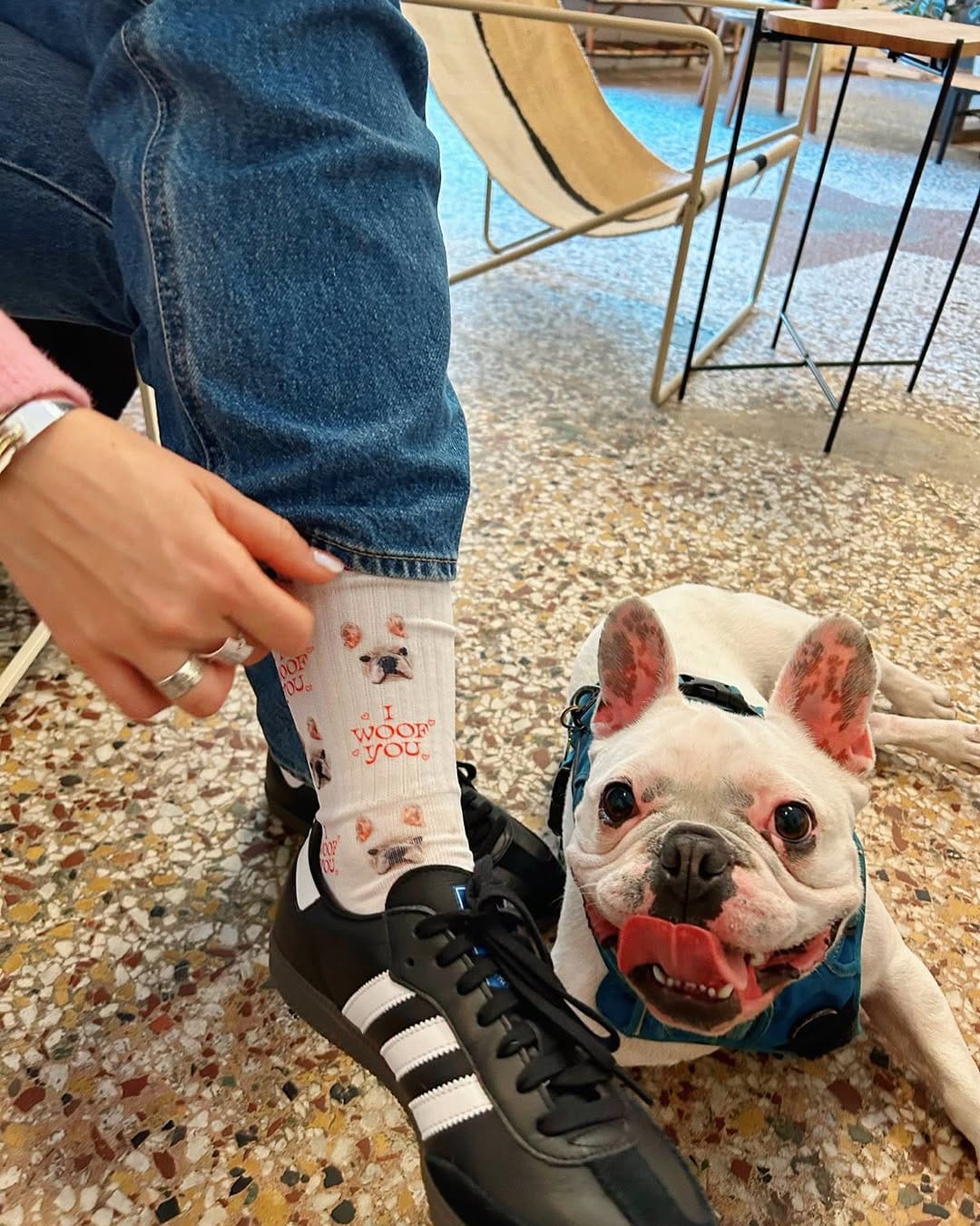 Post 2 by Klem Klem 🐾 on Instagram (image)