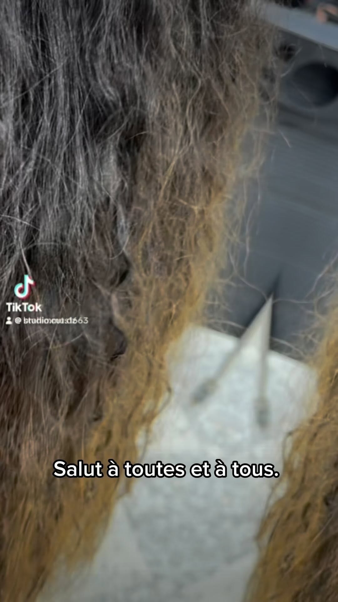 Post 8 by Studio Cut Alger on Instagram (video)