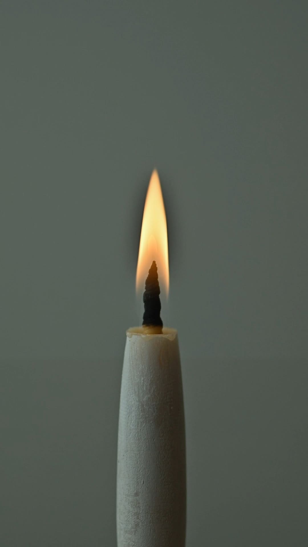 Post 6 by TAKAZAWA Candle on Instagram (video)