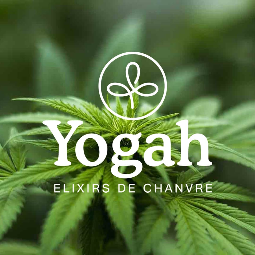 Post 5 by Yogah on Instagram (image)