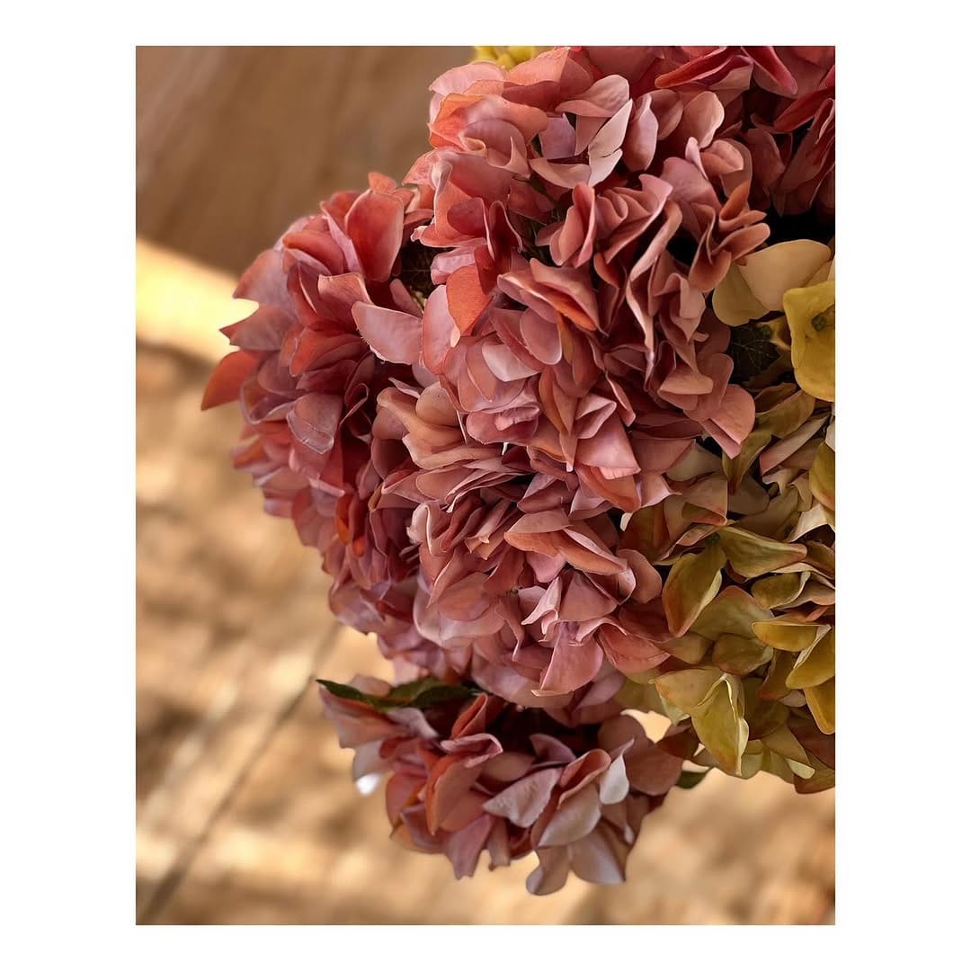 Post 7 by Cecilia de Pardieu on Instagram (carousel)