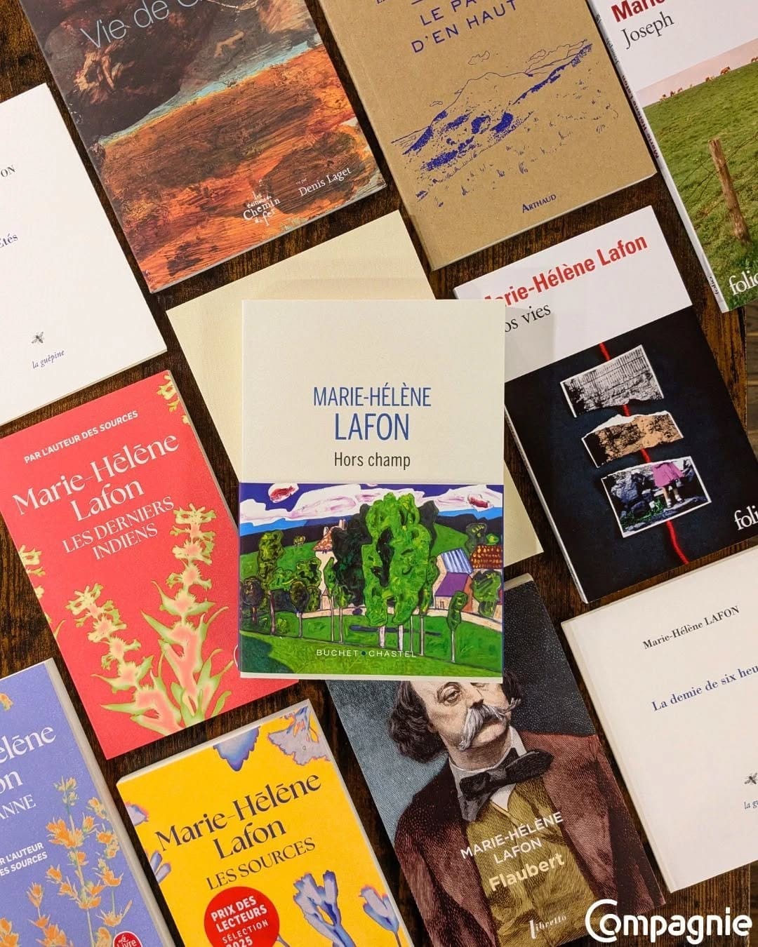 Post 8 by Librairie Compagnie on Instagram (carousel)
