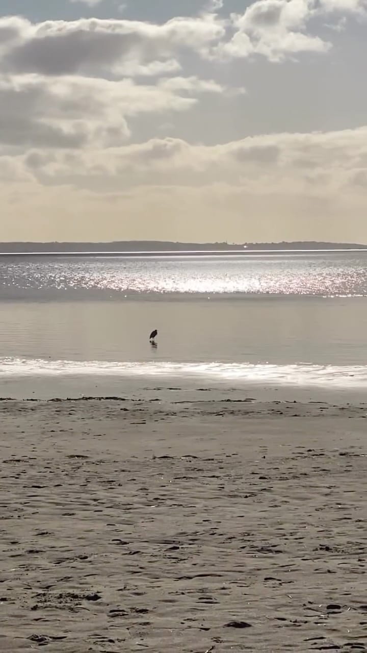 Post 9 by Camille on Instagram (video)