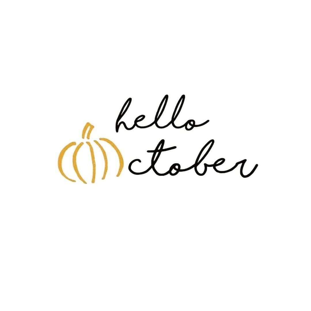 Post 7 by La Vie Est Belle on Instagram (image)