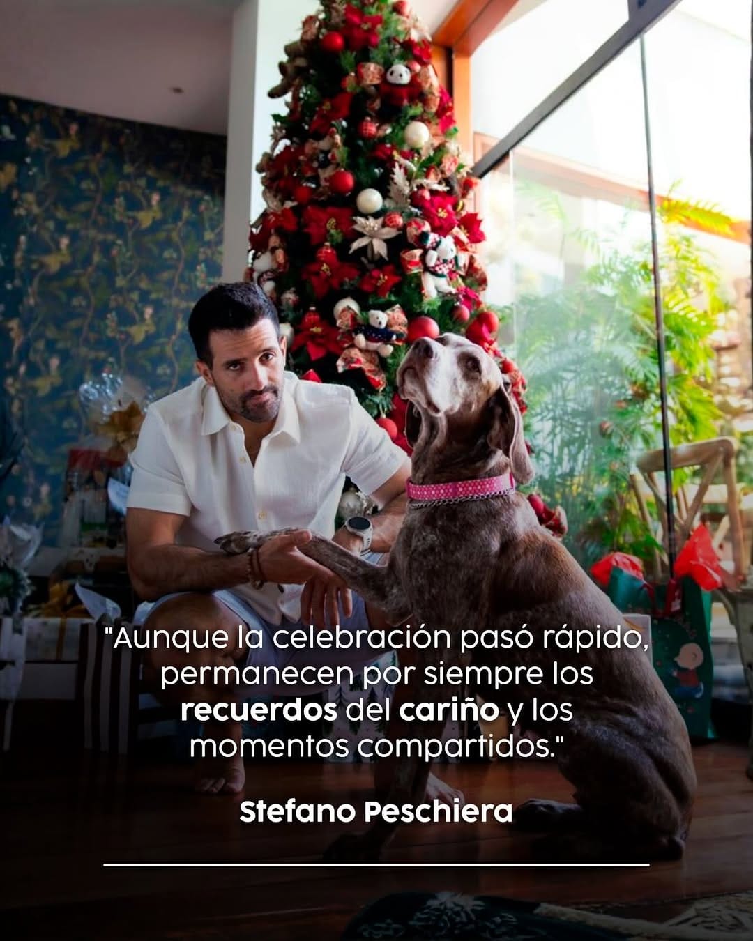 Post 6 by Stefano Peschiera on Instagram (image)