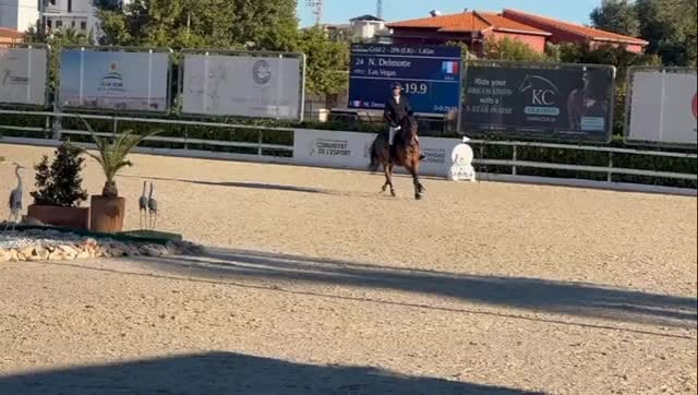 Post 6 by Nicolas Delmotte on Instagram (video)