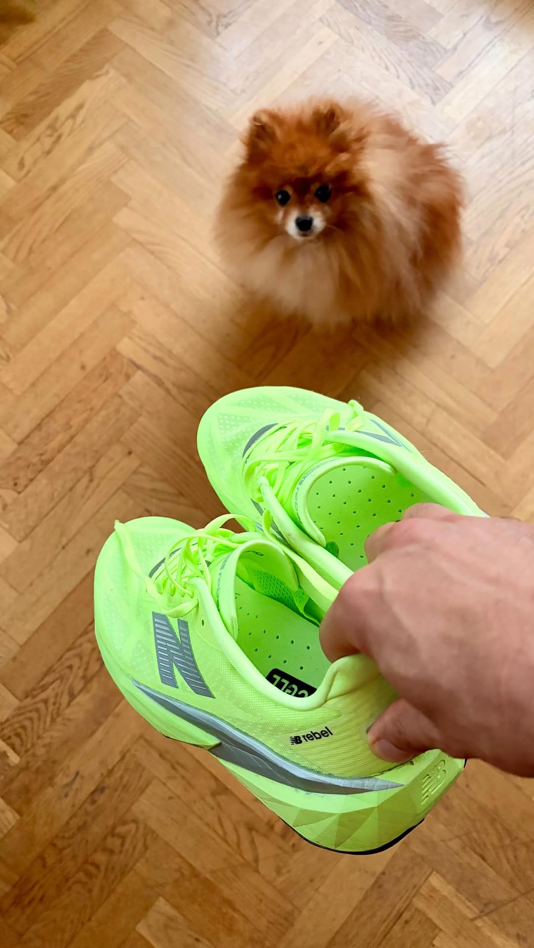 Post 1 by Nabil Taleb on Instagram (video)