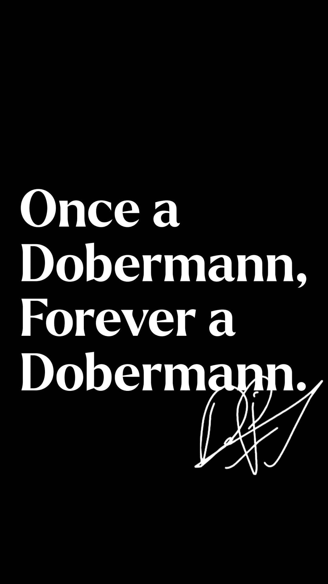 Post 9 by Dominik Paris on Instagram (video)
