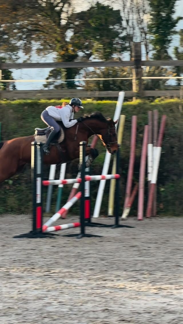 Post 1 by Louise Glorieux on Instagram (video)
