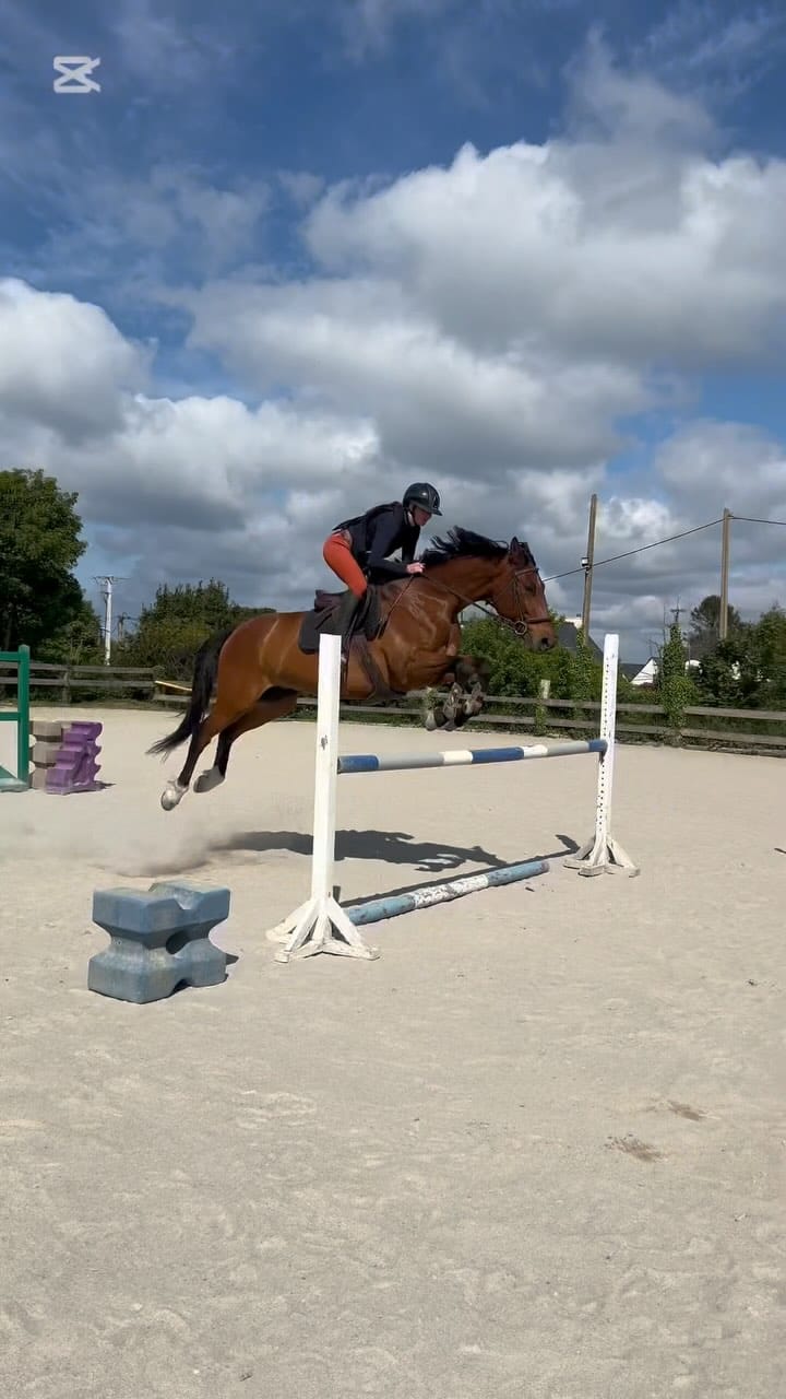 Post 5 by Louise Glorieux on Instagram (video)