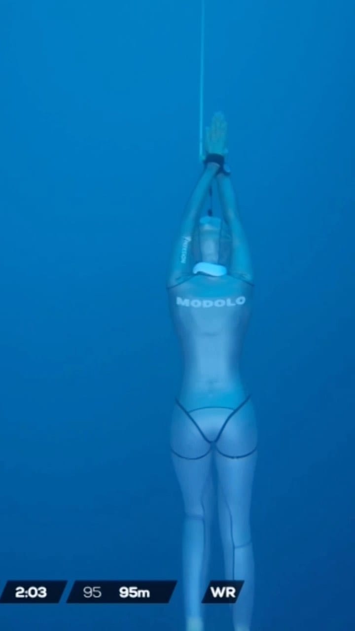 Post 10 by Alice Modolo on Instagram (video)