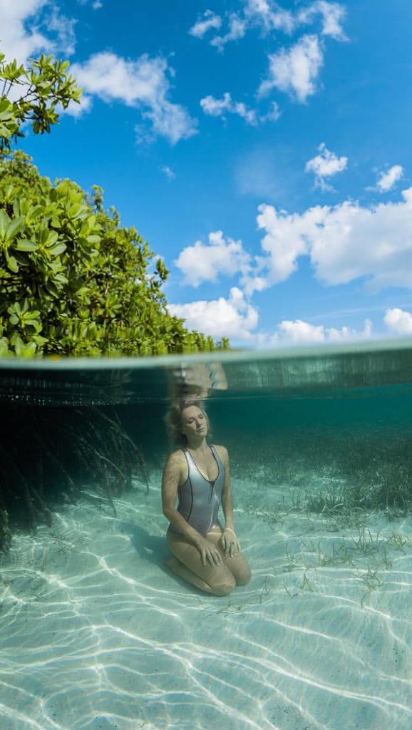 Post 4 by Alice Modolo on Instagram (video)