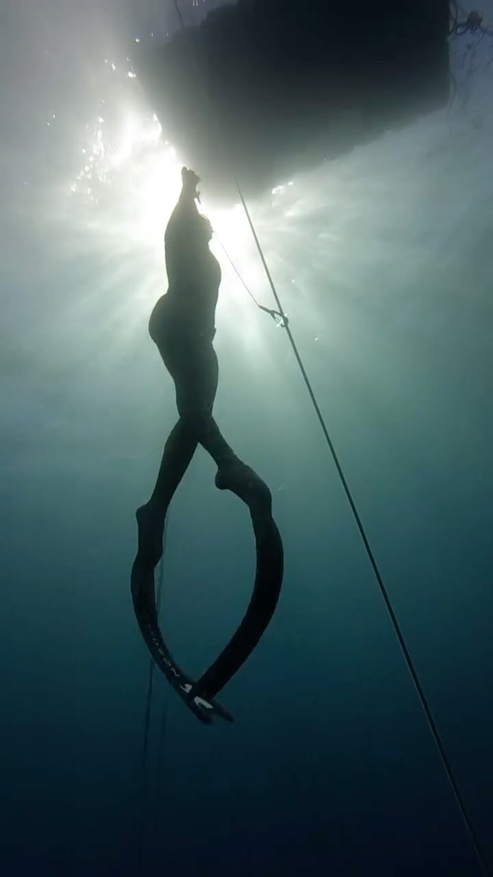 Post 5 by Alice Modolo on Instagram (video)