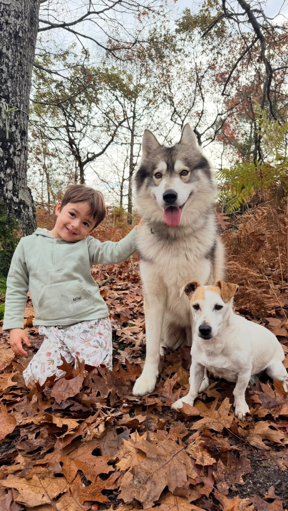 Post 1 by Claire Tomek on Instagram (video)