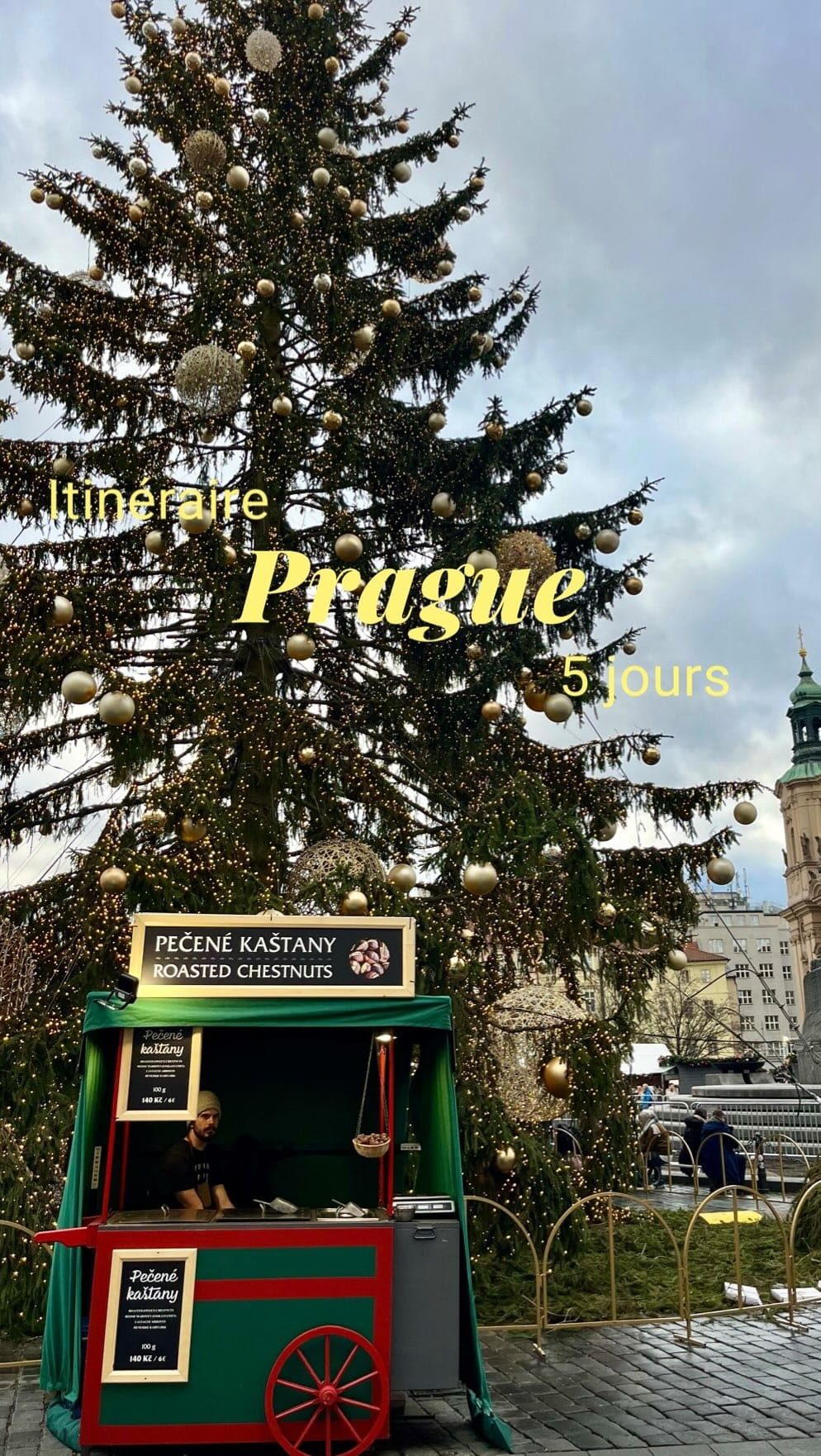 Post 8 by • C H L O É • on Instagram (video)
