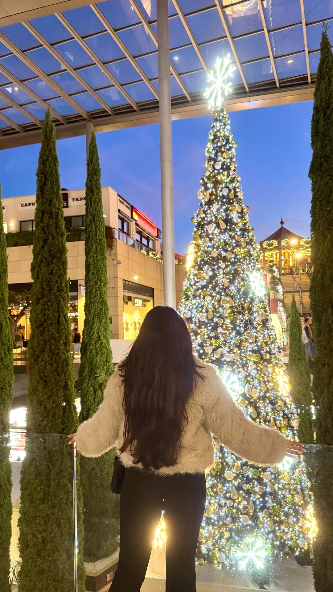 Post 8 by Ludivine on Instagram (video)