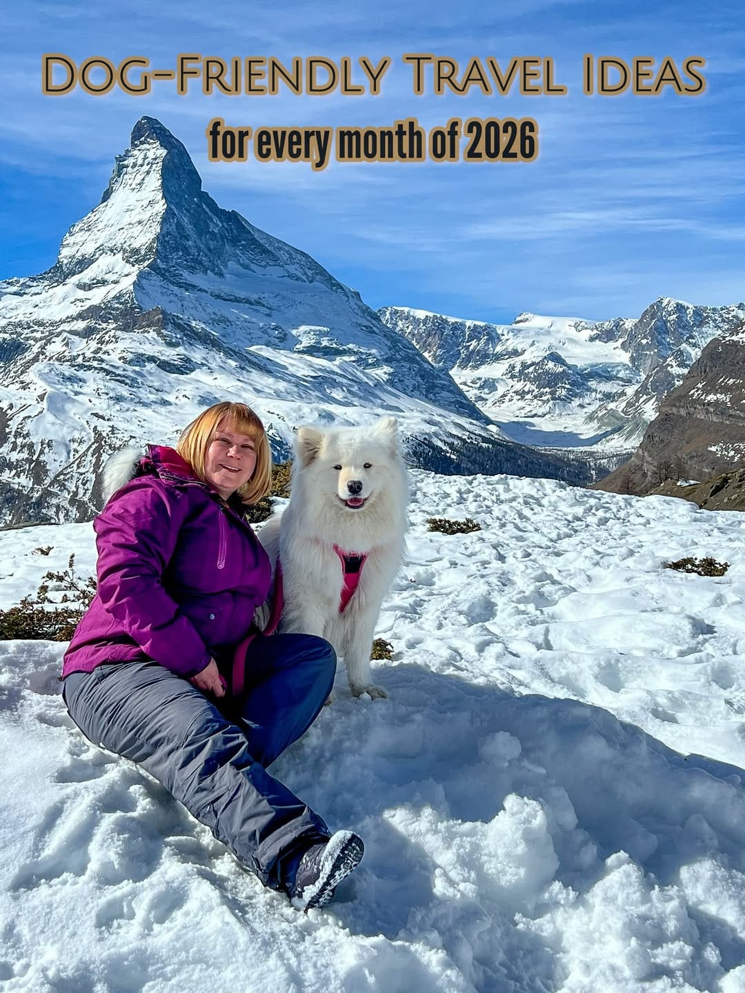 Post 7 by Coco the Traveling Samoyed 🐾 + Jennifer | Dog Friendly Travel on Instagram (carousel)