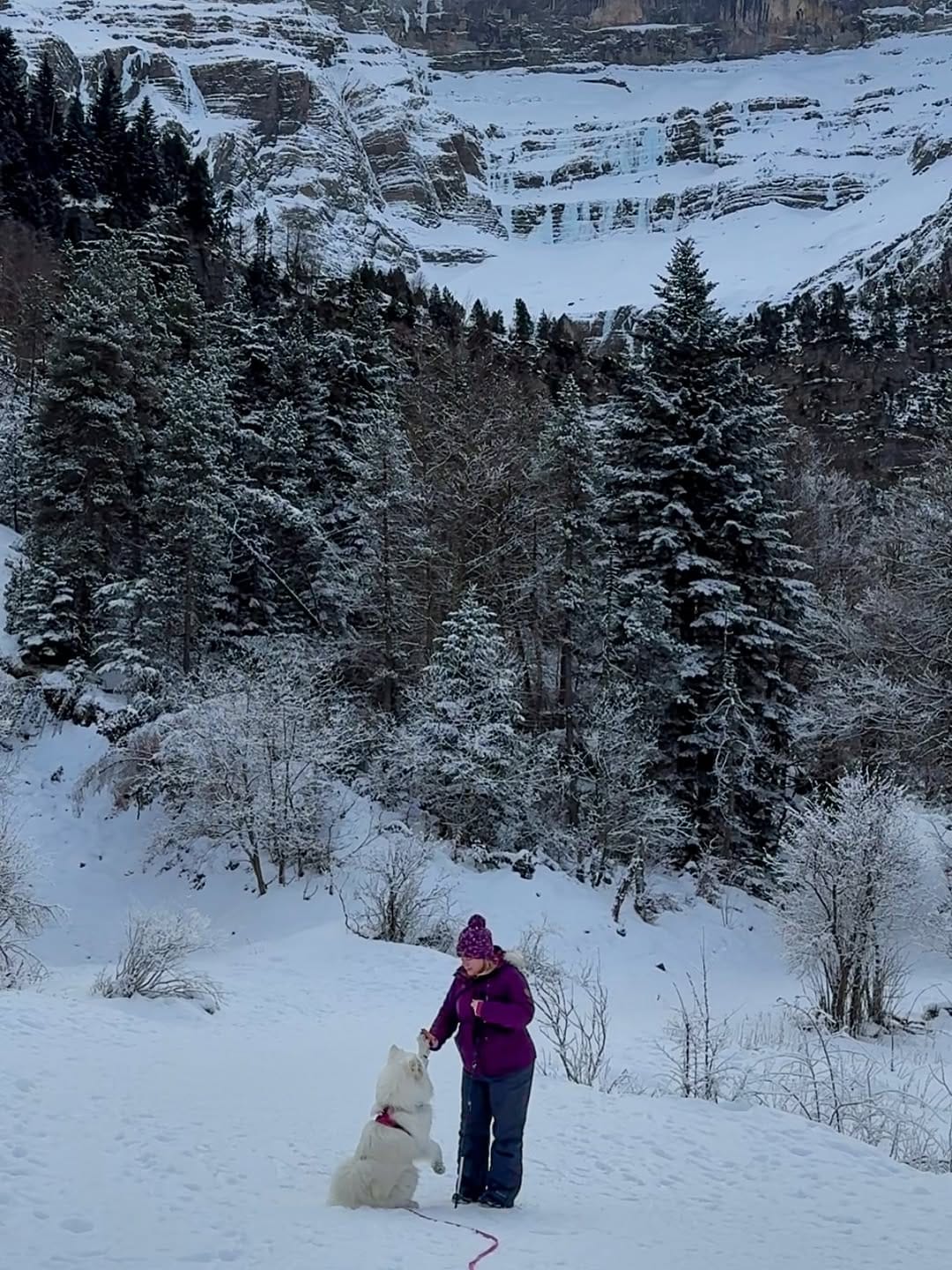 Post 6 by Coco the Traveling Samoyed 🐾 + Jennifer | Dog Friendly Travel on Instagram (carousel)