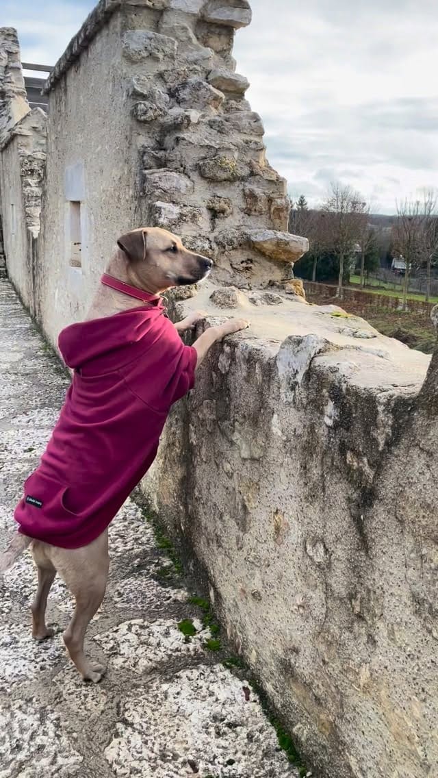 Post 8 by 𝐊𝐚𝐭𝐚𝐫𝐢𝐧𝐚 • 🇺🇦 model in Paris on Instagram (video)