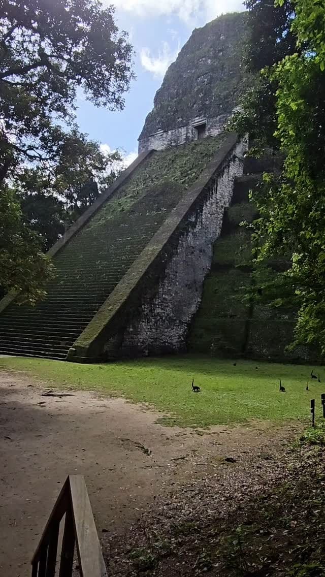 Post 10 by Theo Garcia on Instagram (video)