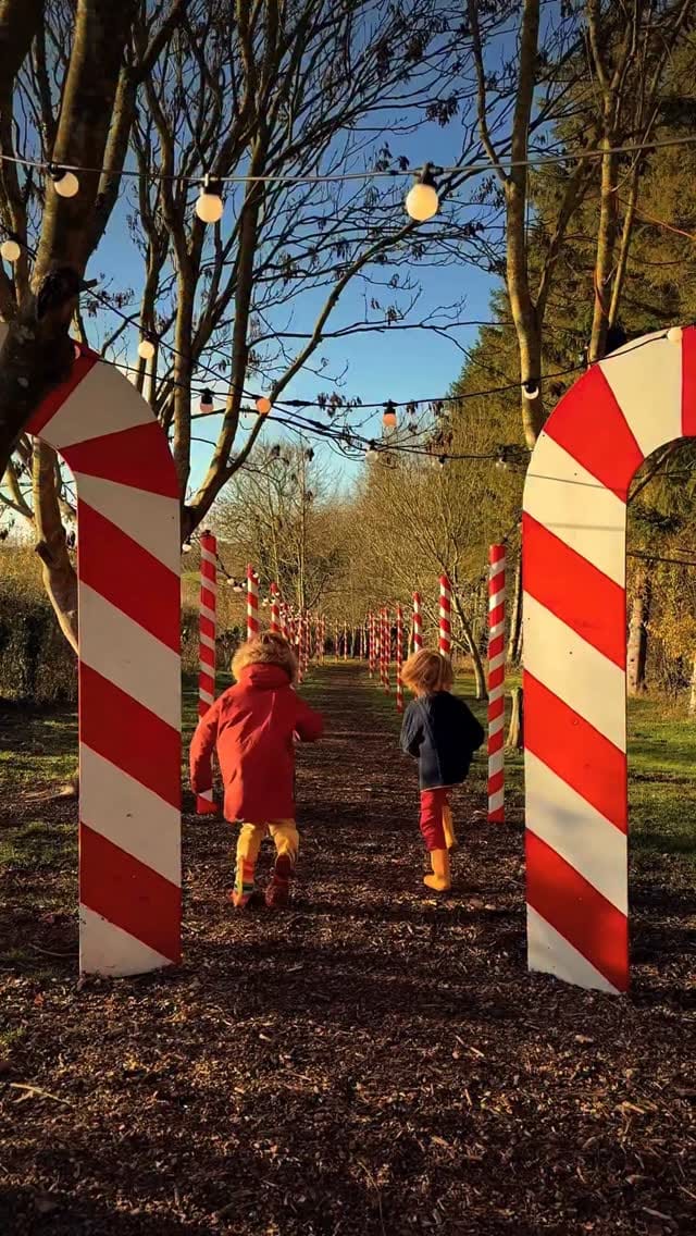Post 4 by How I Wander • Family Travel on Instagram (video)