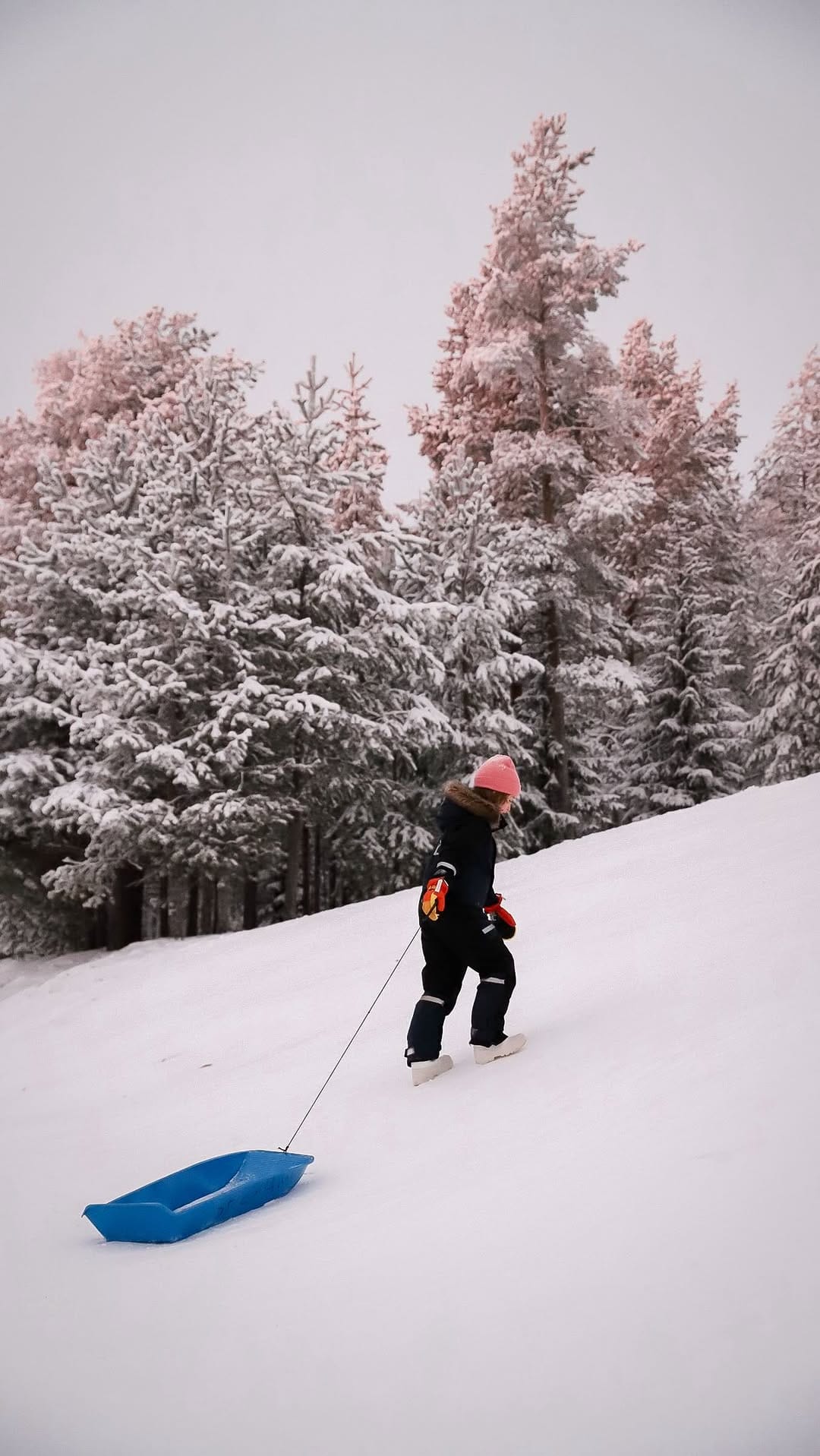 Post 5 by How I Wander • Family Travel on Instagram (video)