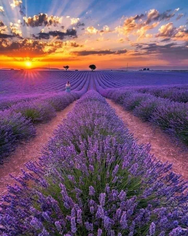 Post 5 by Merveilles de France on Instagram (image)