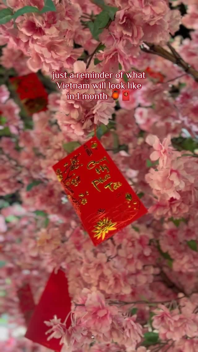 Post 1 by Clara 🌍 | Travel girl ✈️ on Instagram (video)