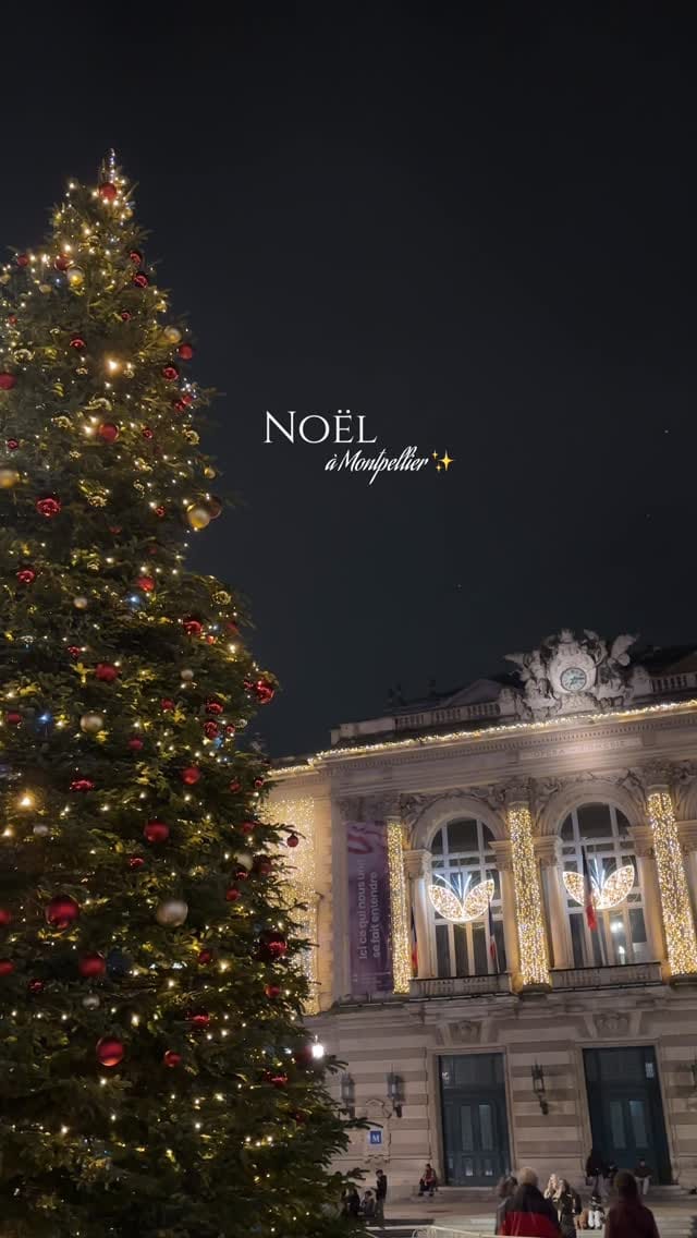 Post 3 by Elena on Instagram (video)