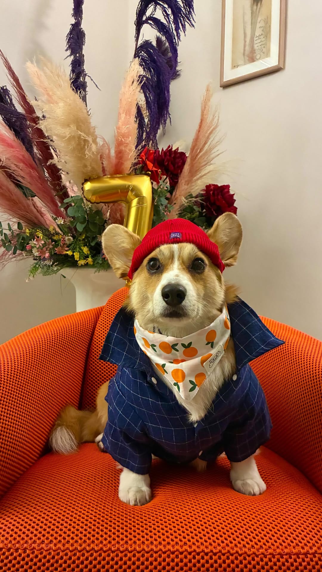 Post 6 by sᴛɪʟᴛᴏɴ ʟᴇ ᴄᴏʀɢɪ 🇫🇷 on Instagram (video)
