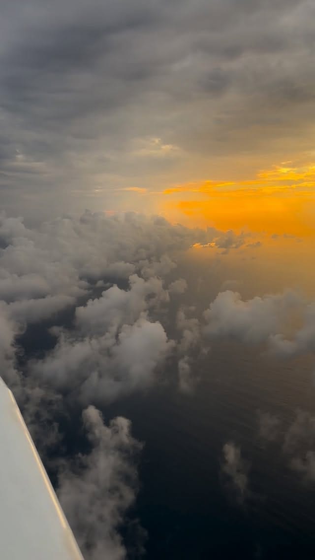 Post 1 by Sébastien Faye | Filmmaker on Instagram (video)