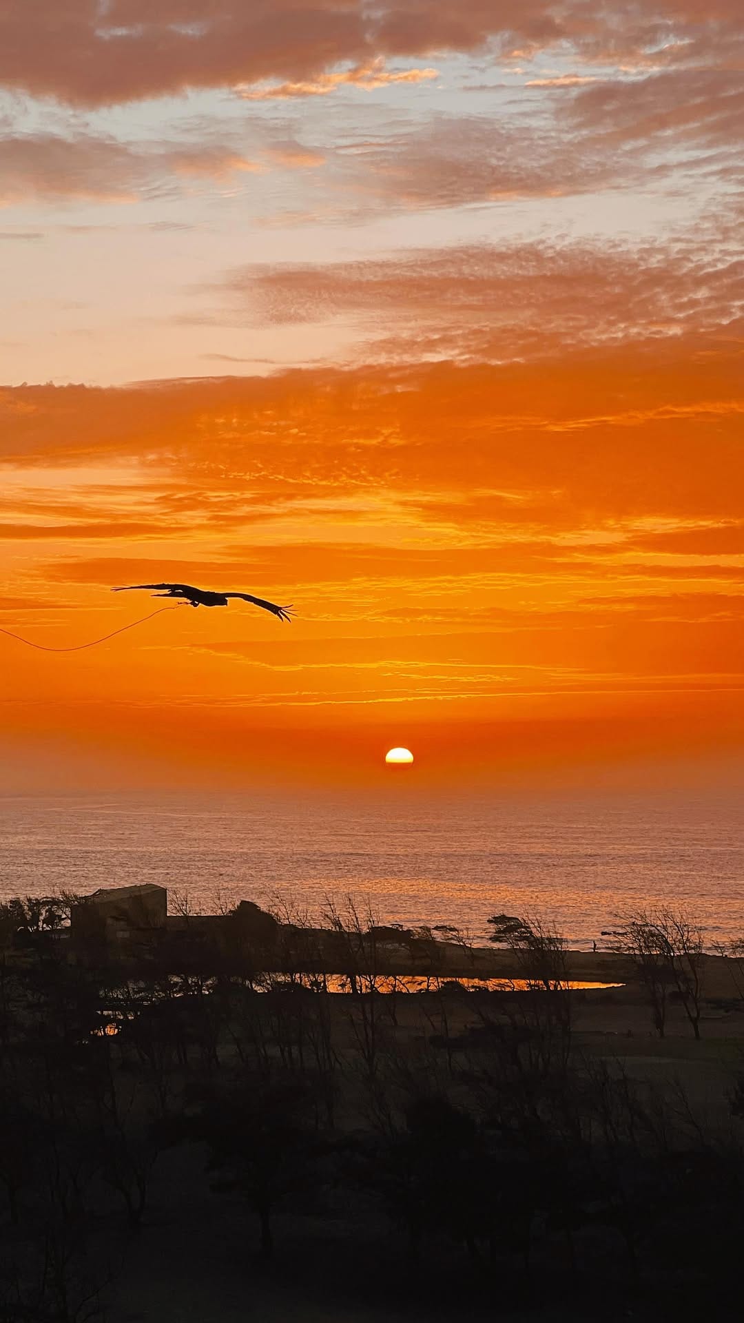 Post 6 by Sébastien Faye | Filmmaker on Instagram (video)