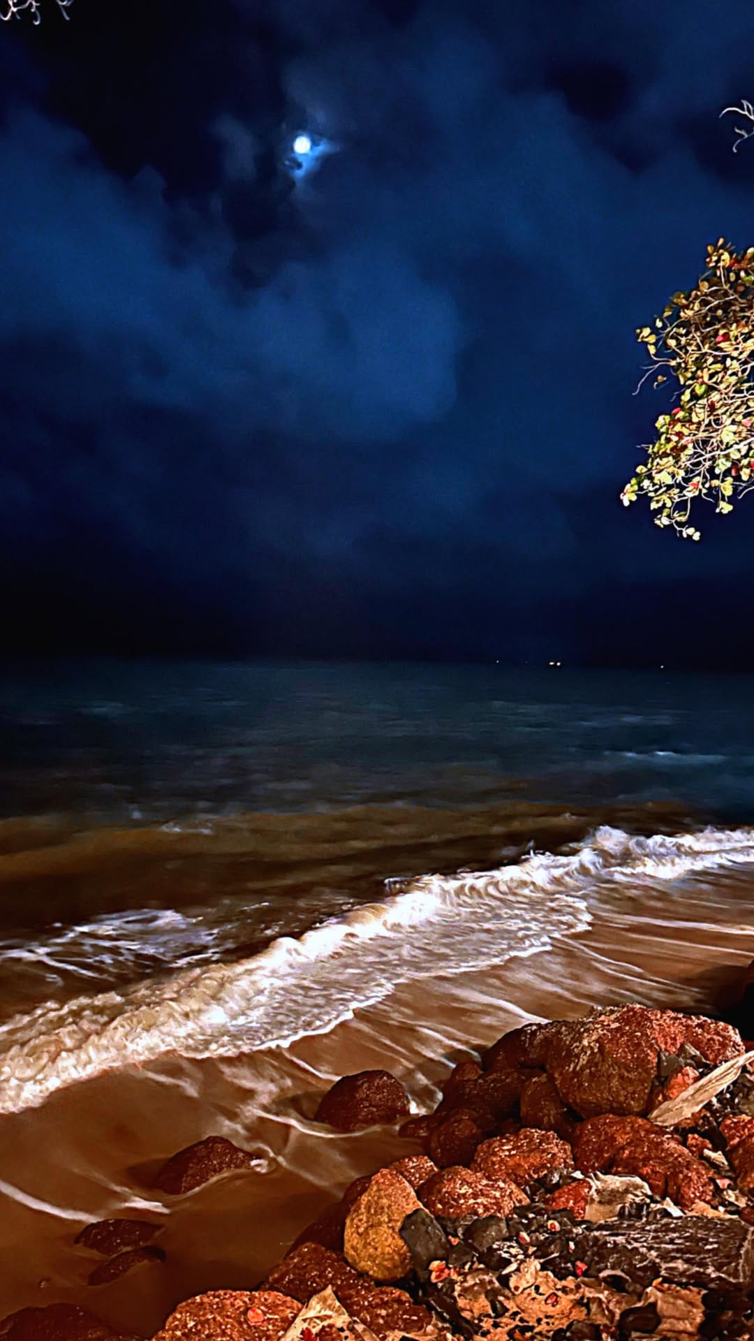 Post 5 by Sébastien Faye | Filmmaker on Instagram (video)