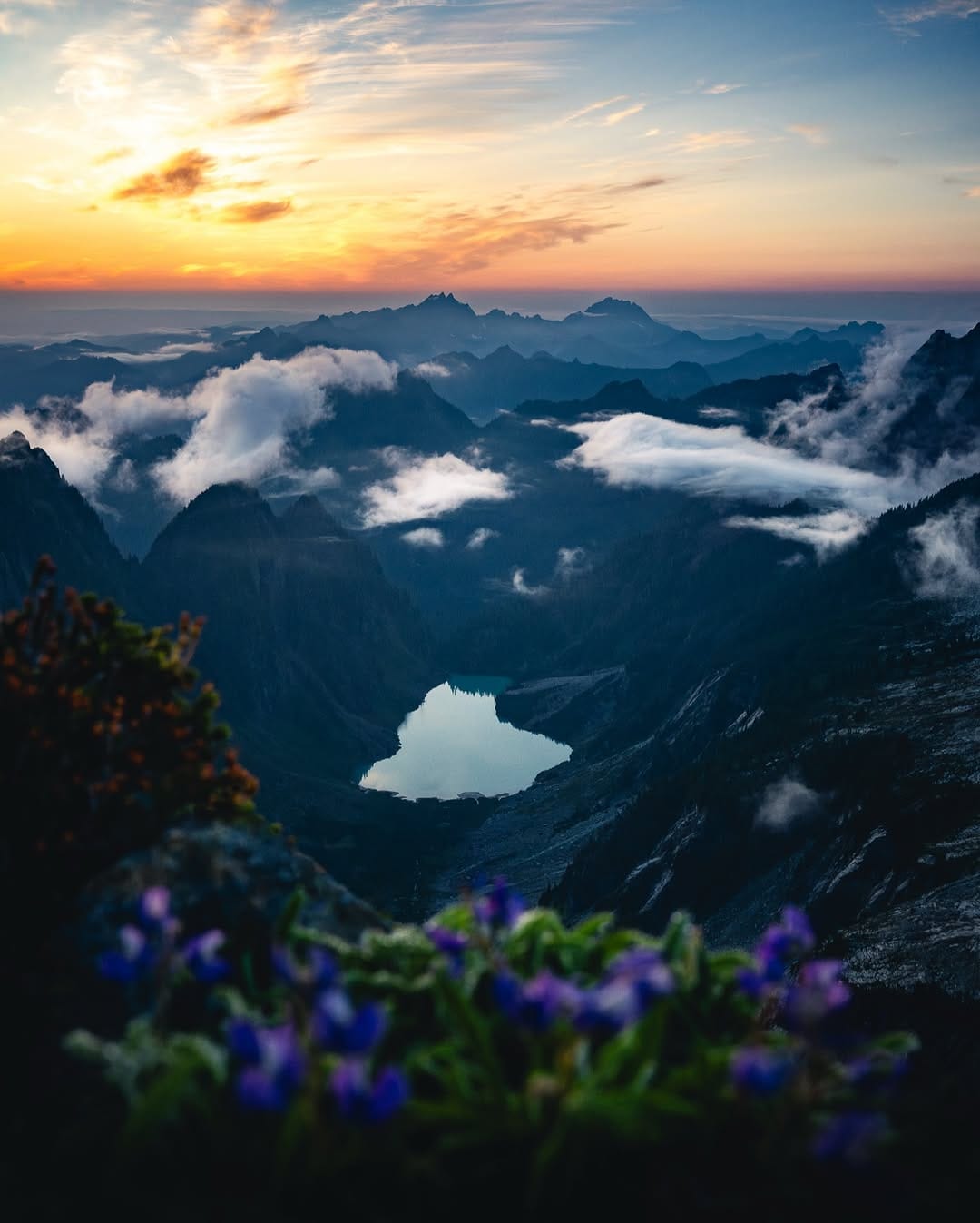 Post 8 by Jesse Roos on Instagram (image)