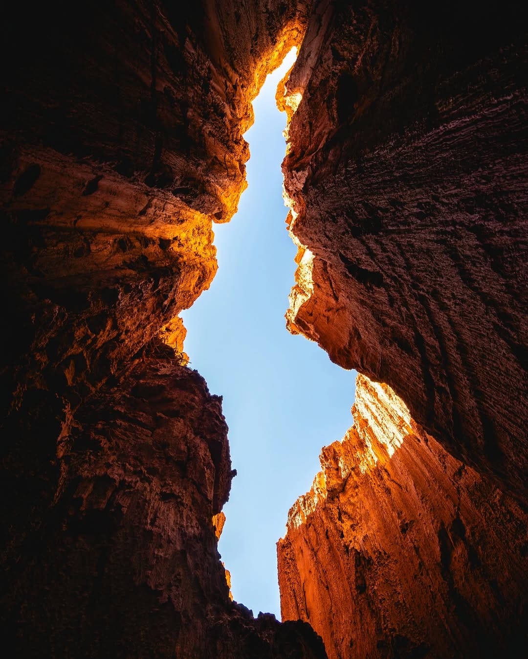 Post 10 by Jesse Roos on Instagram (image)