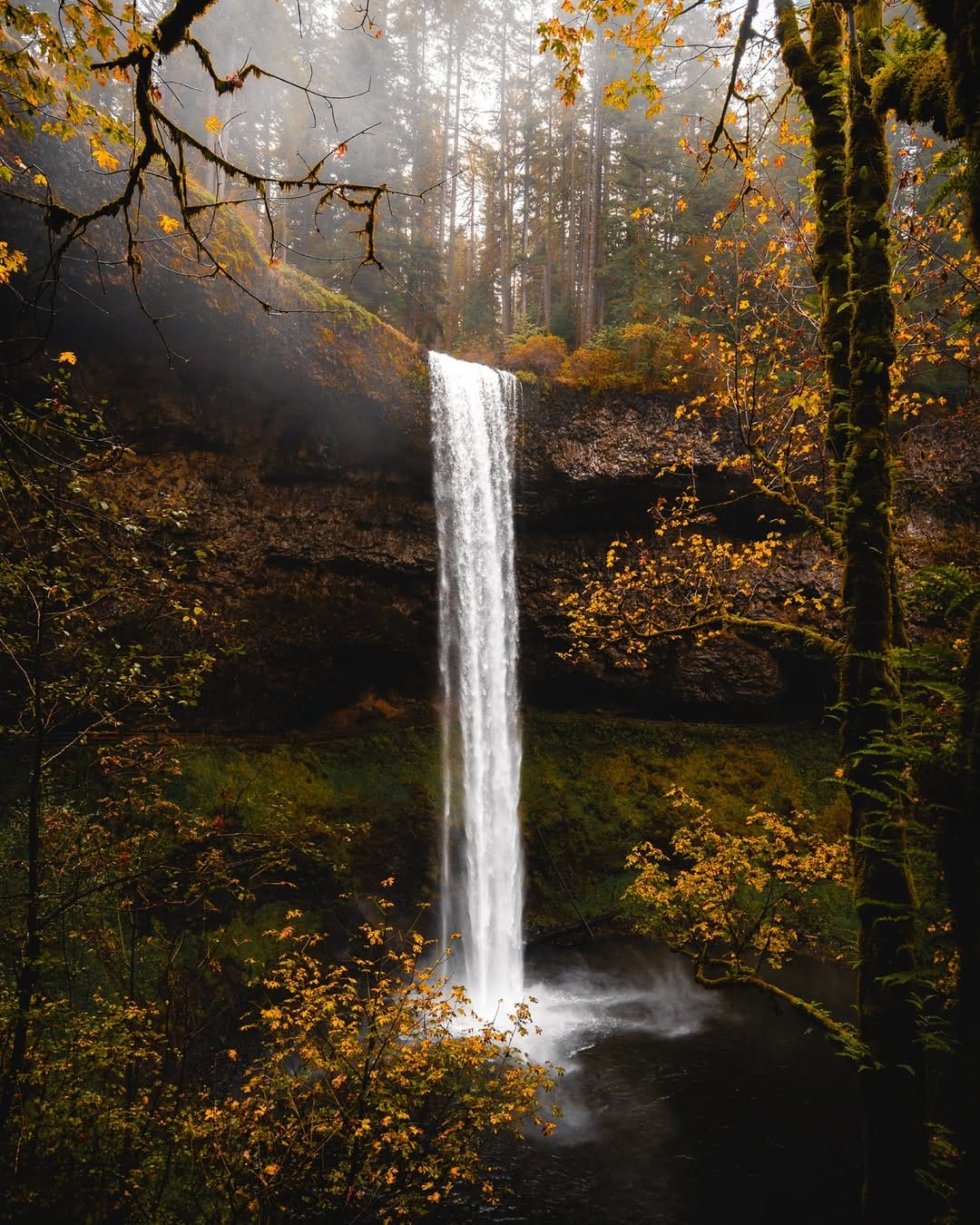 Post 2 by Jesse Roos on Instagram (image)