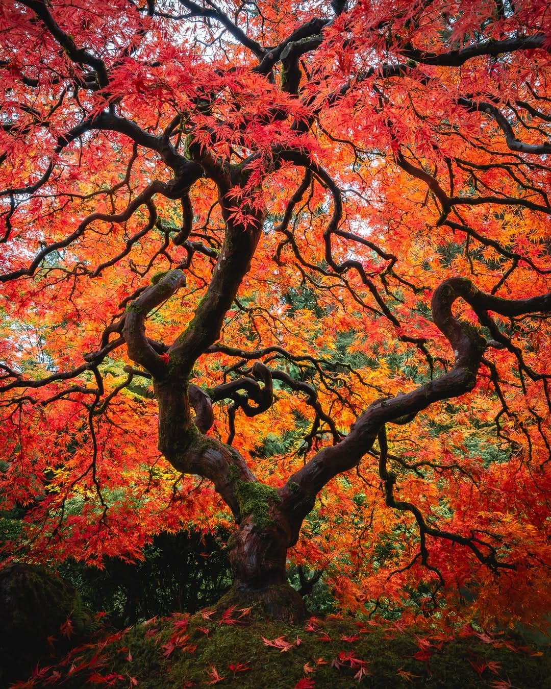 Post 1 by Jesse Roos on Instagram (image)