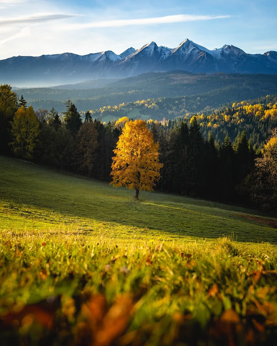 Post 4 by Jesse Roos on Instagram (image)