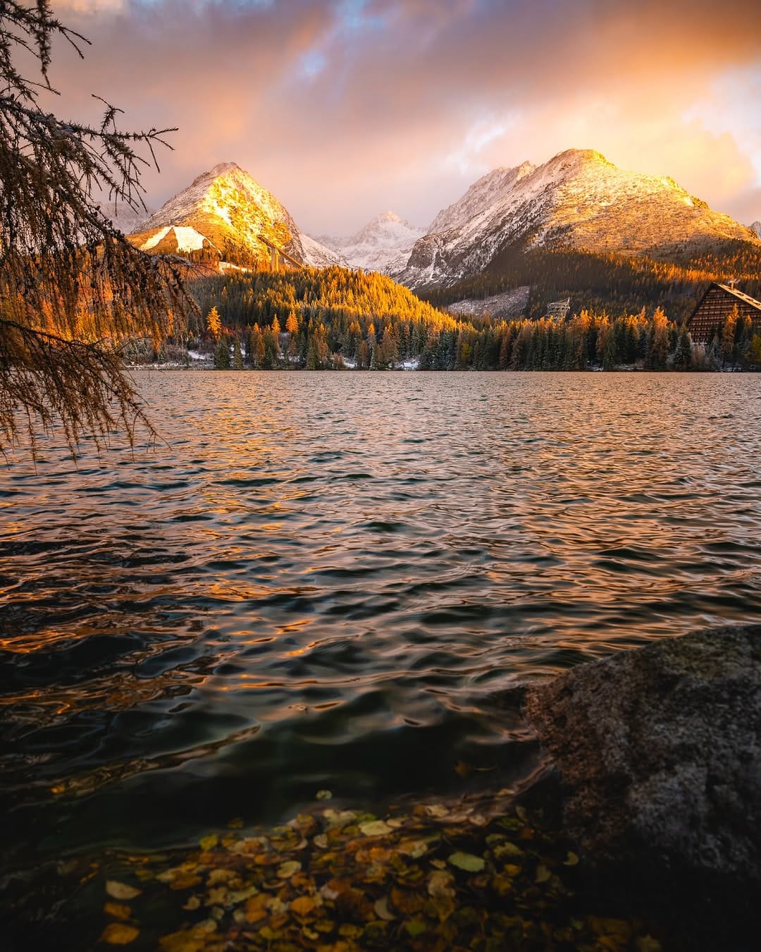 Post 5 by Jesse Roos on Instagram (image)