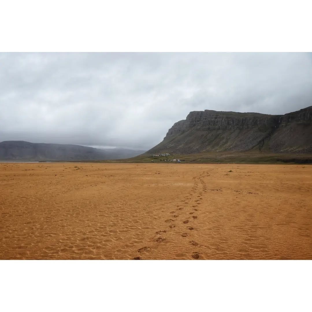 Post 4 by Anne-Claire A. Gressier on Instagram (image)