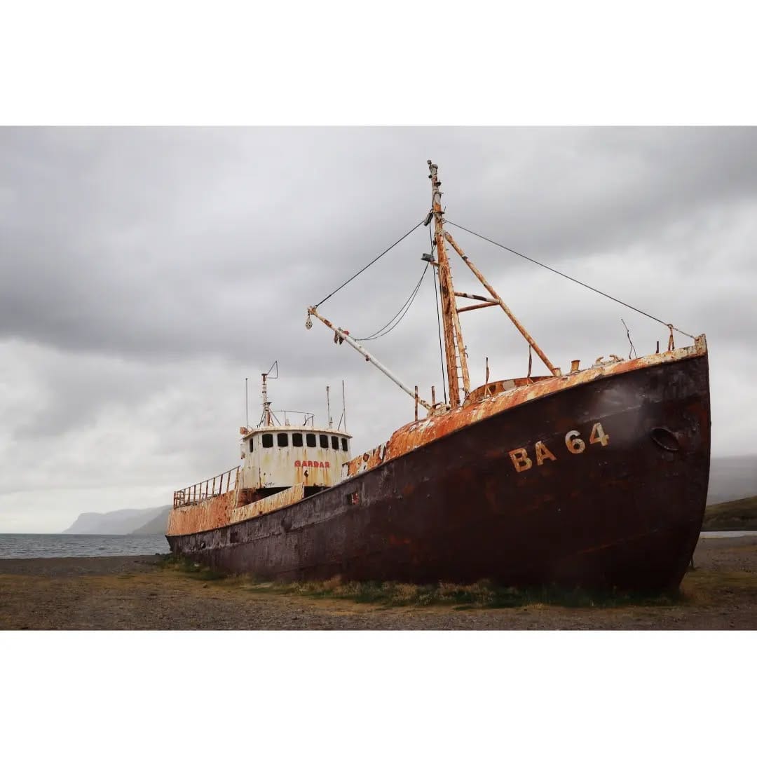 Post 10 by Anne-Claire A. Gressier on Instagram (image)