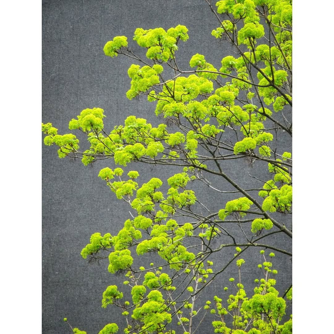Post 5 by Anne-Claire A. Gressier on Instagram (image)