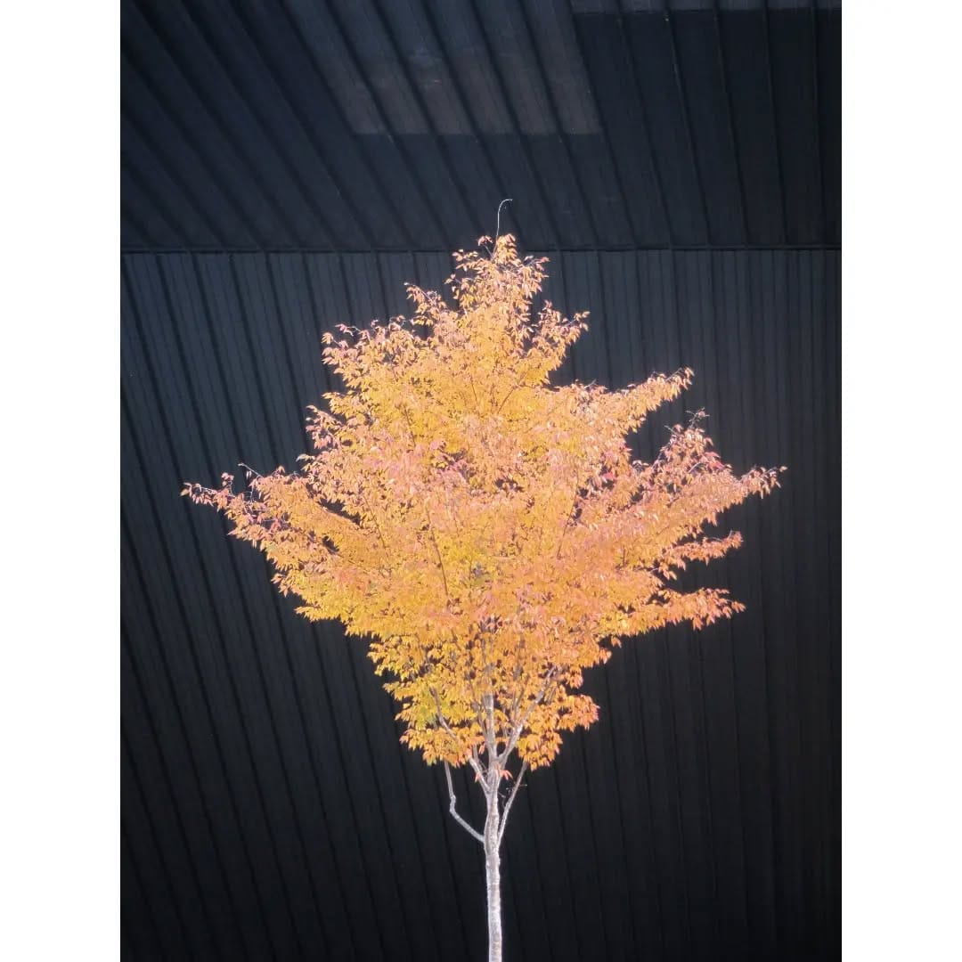 Post 7 by Anne-Claire A. Gressier on Instagram (image)