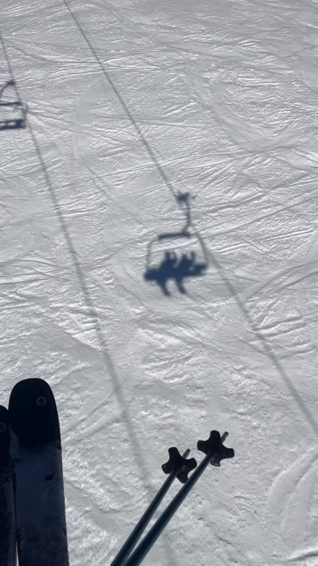 Post 2 by Sarah & Yoshi 🐶 on Instagram (video)