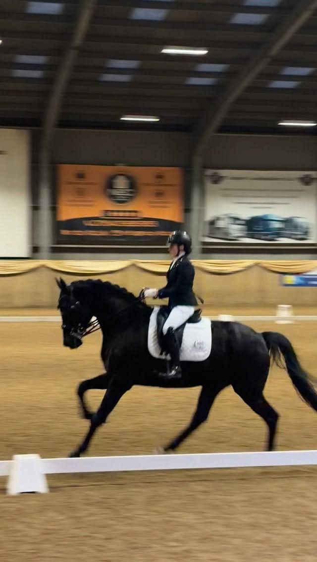Post 6 by Abi Lyle on Instagram (video)