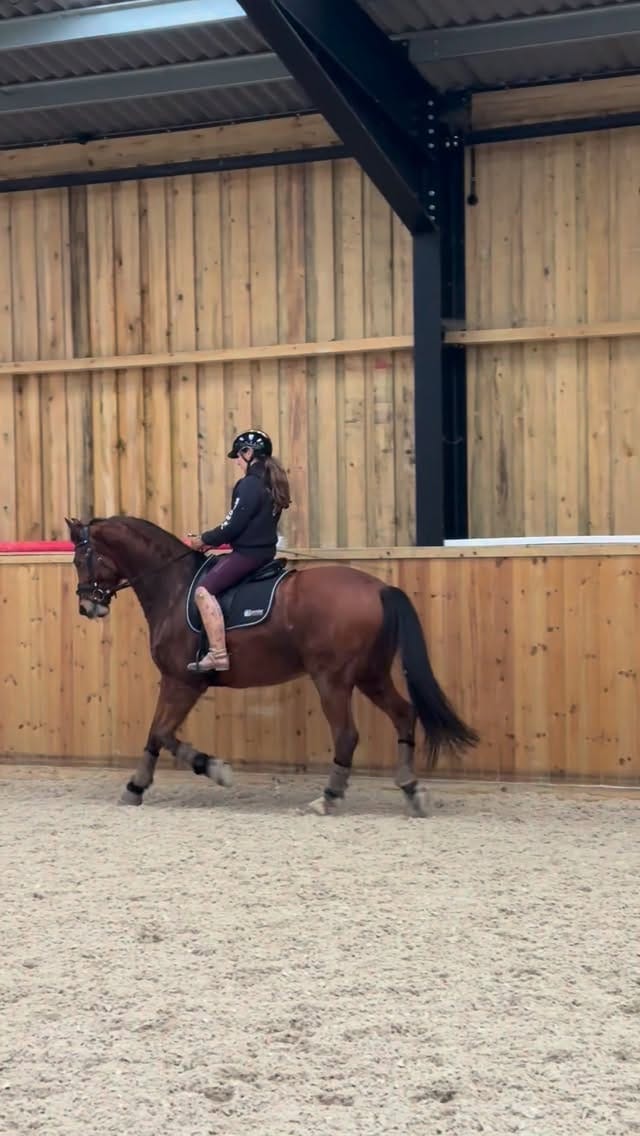 Post 5 by Abi Lyle on Instagram (video)