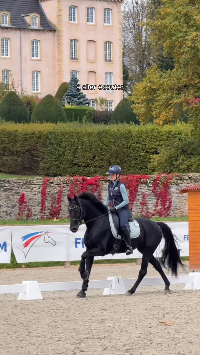 Post 6 by Mathilde Labat | Equestrian content creator on Instagram (video)