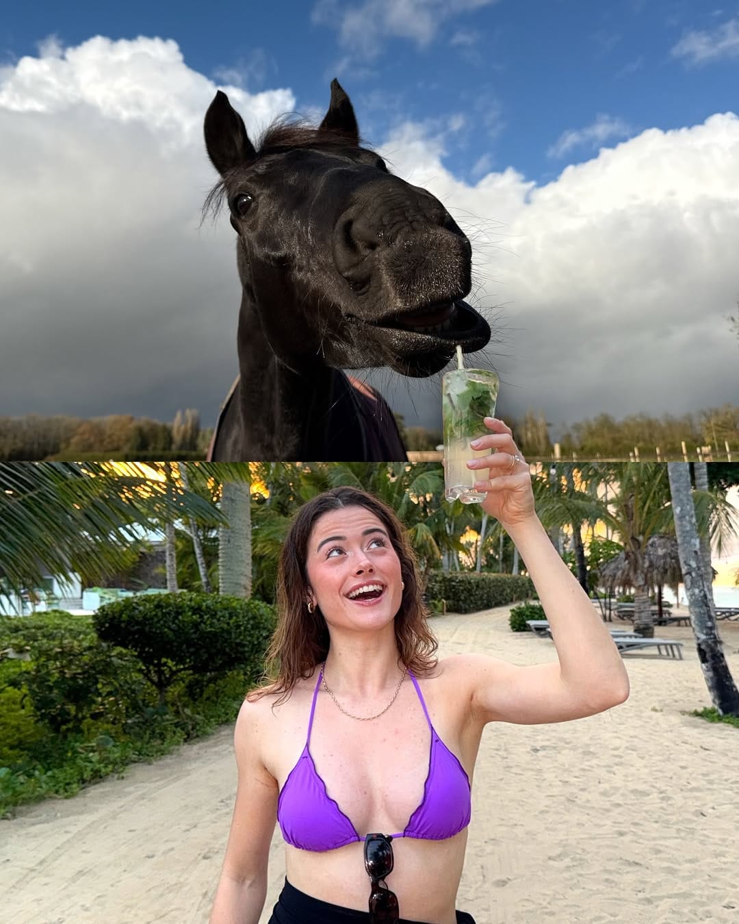 Post 3 by Mathilde Labat | Equestrian content creator on Instagram (carousel)